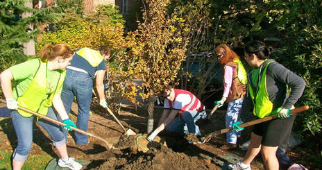 EE Tree Planting